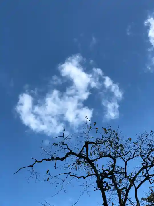 伏見稲荷大社 御膳谷奉拝所の自然