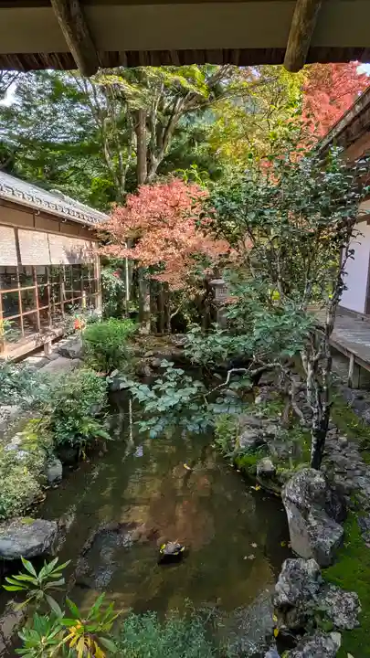 高山寺(京都府)