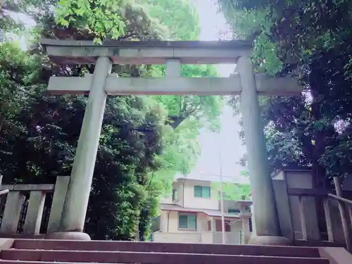 渋谷氷川神社の鳥居