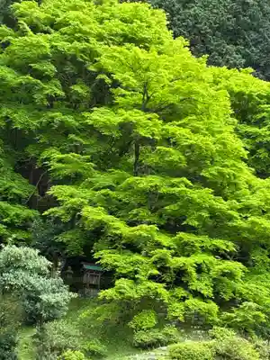 萬徳寺(福井県)