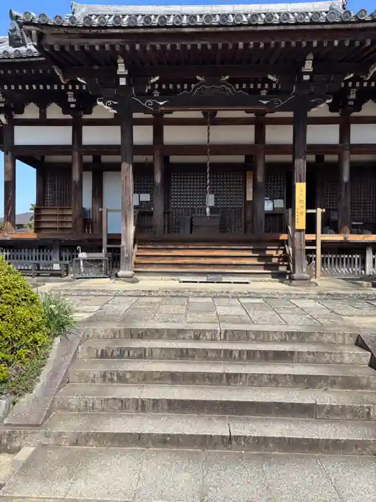般若寺 ❁コスモス寺❁(奈良県)