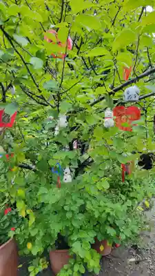 今戸神社(東京都)