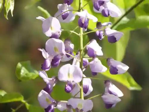 三大神社(滋賀県)