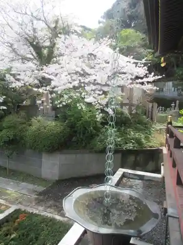 長勝寺の景色