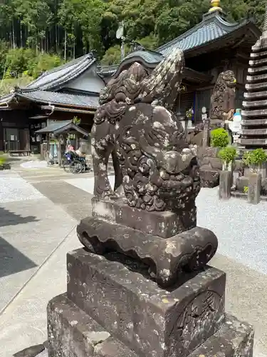 龍光寺の狛犬