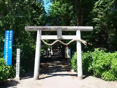 下野 星宮神社の鳥居