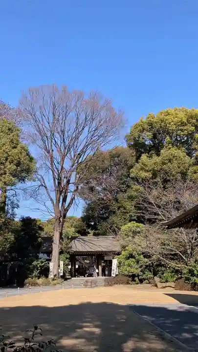 阿佐ヶ谷神明宮(東京都)