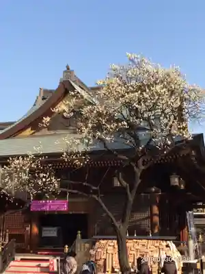 湯島天満宮の本殿・本堂