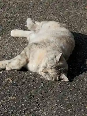 熊野神社の動物