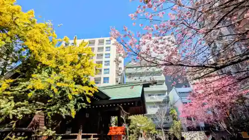 蔵前神社の景色