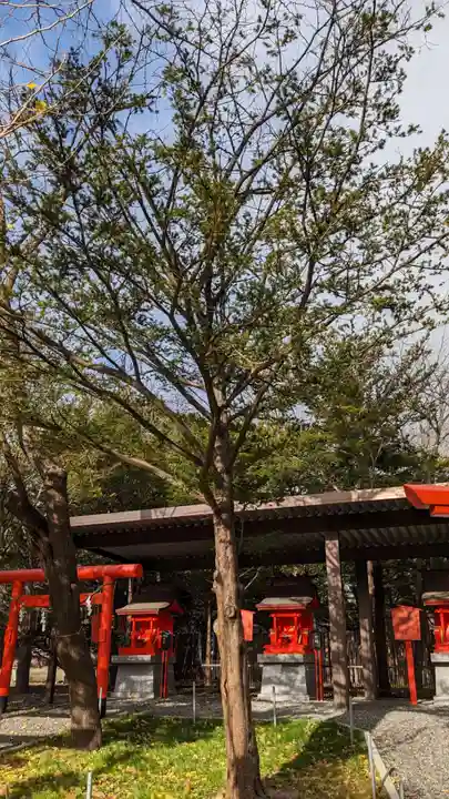 稲荷宮・妙見宮・厳島神社(中嶋神社境内三社)の自然