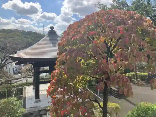 長楽寺(東京都)