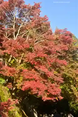 建長寺(神奈川県)