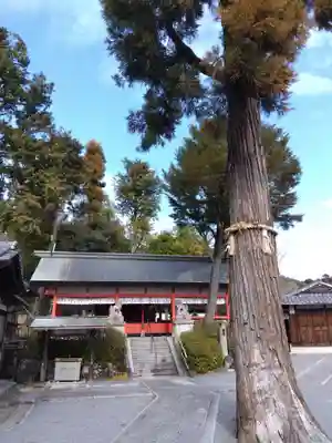 住吉大伴神社(京都府)