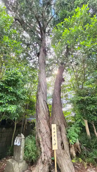 星宮神社(栃木県)