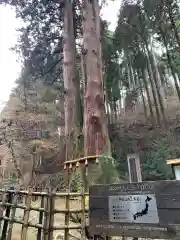 御岩神社の自然