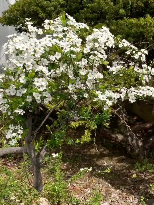 穂高神社本宮(長野県)