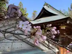 滑川神社 - 仕事と子どもの守り神(福島県)