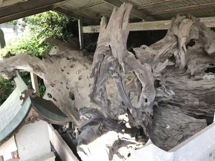 正善寺(生木地蔵)(愛媛県)