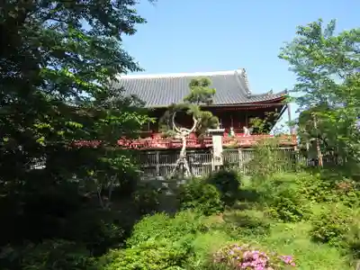 清水観音堂の本殿・本堂