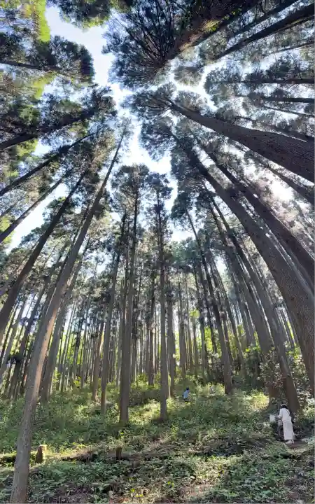 荒立神社(宮崎県)
