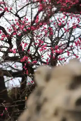 東郷神社(東京都)