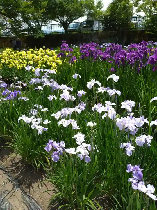 伊佐須美神社の自然