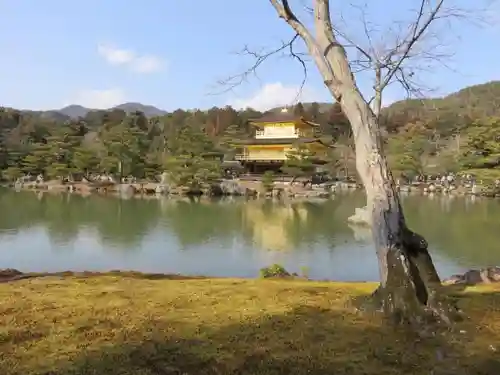 鹿苑寺（金閣寺）の庭園