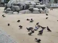 三津厳島神社(愛媛県)