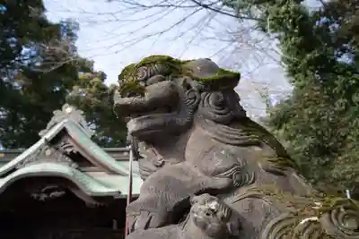 谷保天満宮の狛犬