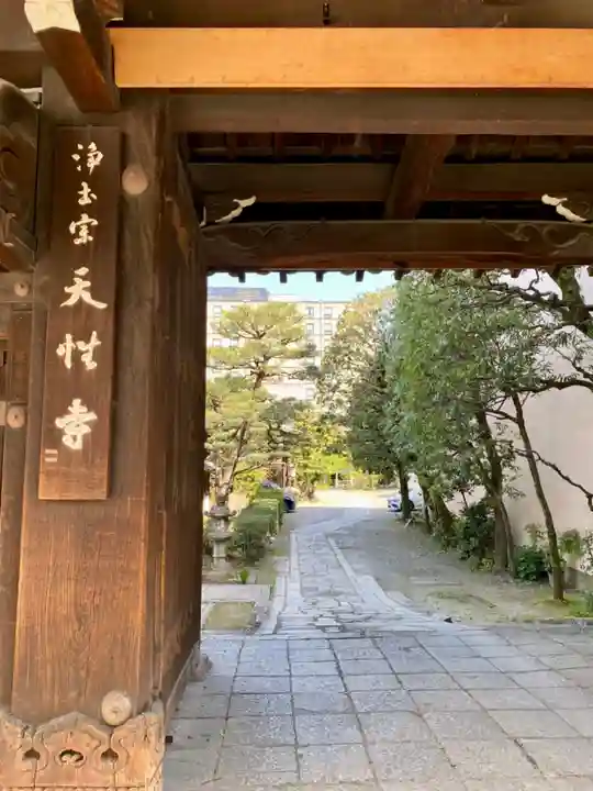 天性寺の山門・神門