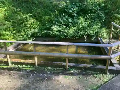 筑陽神社(島根県)