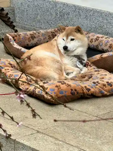 麟祥院(東京都)