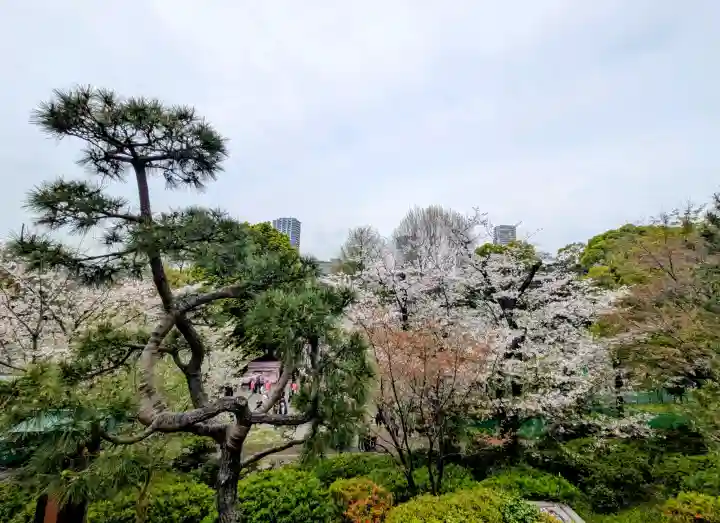 清水観音堂の{uncategorized: "未分類", other: "その他", undefined: "問題あり", building: "その他建物", grave: "お墓", sacred_gate: "鳥居", guardian: "狛犬", statue: "像", buddha: "仏像", history: "歴史", nature: "自然", garden: "庭園", animal: "動物", pagoda: "塔", temizu: "手水舎", mountain_gate: "山門・神門", sanctuary: "本殿・本堂", subordinate: "末社・摂社", art: "芸術", scenery: "景色", jizo: "地蔵", ema: "絵馬", goshuin: "御朱印", omikuji: "おみくじ", items: "授与品その他", amulet: "お守り", goshuincho: "御朱印帳", eats: "食事", festival: "お祭り", votive_dance: "神楽", shichigosan: "七五三参", wedding: "結婚式", experience: "体験その他", initially: "初詣", around: "周辺", anti_infection: "感染症対策"}