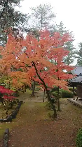 岩殿山安楽寺（吉見観音）の庭園