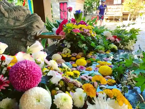 滑川神社 - 仕事と子どもの守り神の手水