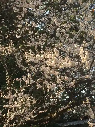 熱田神宮(愛知県)