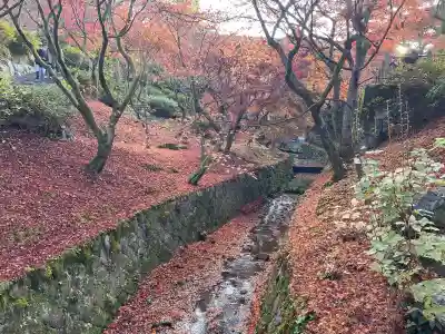東福禅寺(東福寺)(京都府)