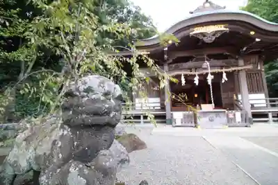 貫井神社(東京都)