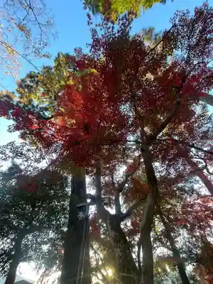 三寳寺(東京都)