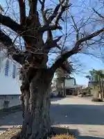 光明寺のその他建物