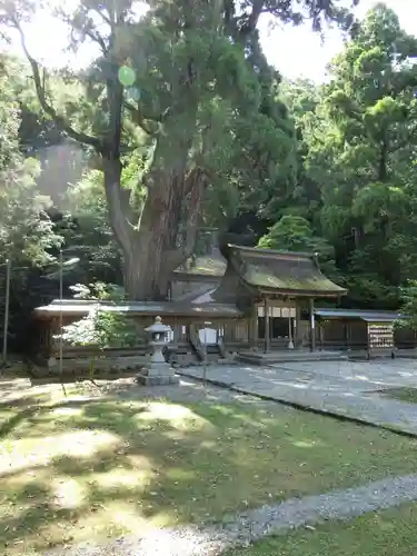 若狭姫神社（若狭彦神社下社）(福井県)