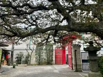 大円寺の{uncategorized: "未分類", other: "その他", undefined: "問題あり", building: "その他建物", grave: "お墓", sacred_gate: "鳥居", guardian: "狛犬", statue: "像", buddha: "仏像", history: "歴史", nature: "自然", garden: "庭園", animal: "動物", pagoda: "塔", temizu: "手水舎", mountain_gate: "山門・神門", sanctuary: "本殿・本堂", subordinate: "末社・摂社", art: "芸術", scenery: "景色", jizo: "地蔵", ema: "絵馬", goshuin: "御朱印", omikuji: "おみくじ", items: "授与品その他", amulet: "お守り", goshuincho: "御朱印帳", eats: "食事", festival: "お祭り", votive_dance: "神楽", shichigosan: "七五三参", wedding: "結婚式", experience: "体験その他", initially: "初詣", around: "周辺", anti_infection: "感染症対策"}
