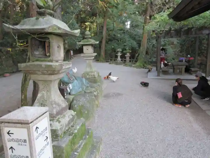 石上神宮のその他建物