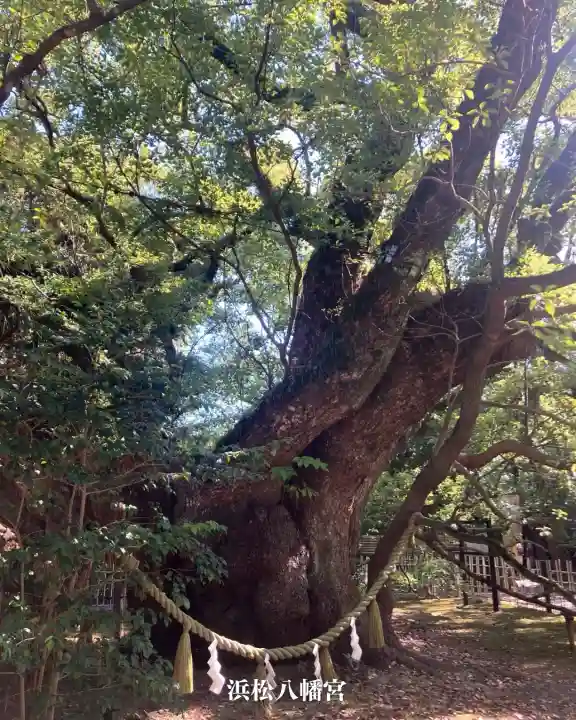浜松八幡宮(静岡県)