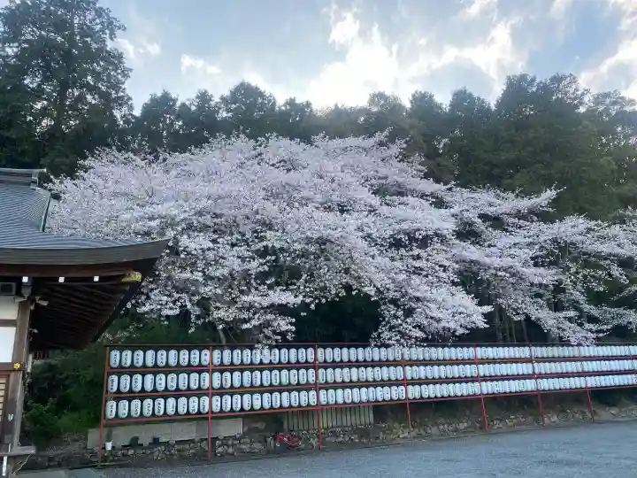 意賀美神社の{uncategorized: "未分類", other: "その他", undefined: "問題あり", building: "その他建物", grave: "お墓", sacred_gate: "鳥居", guardian: "狛犬", statue: "像", buddha: "仏像", history: "歴史", nature: "自然", garden: "庭園", animal: "動物", pagoda: "塔", temizu: "手水舎", mountain_gate: "山門・神門", sanctuary: "本殿・本堂", subordinate: "末社・摂社", art: "芸術", scenery: "景色", jizo: "地蔵", ema: "絵馬", goshuin: "御朱印", omikuji: "おみくじ", items: "授与品その他", amulet: "お守り", goshuincho: "御朱印帳", eats: "食事", festival: "お祭り", votive_dance: "神楽", shichigosan: "七五三参", wedding: "結婚式", experience: "体験その他", initially: "初詣", around: "周辺", anti_infection: "感染症対策"}