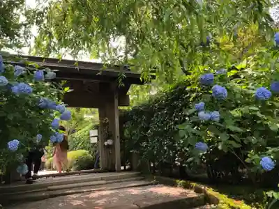 明月院の山門・神門