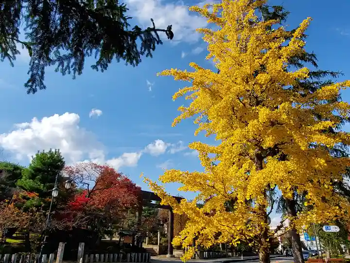開成山大神宮の自然