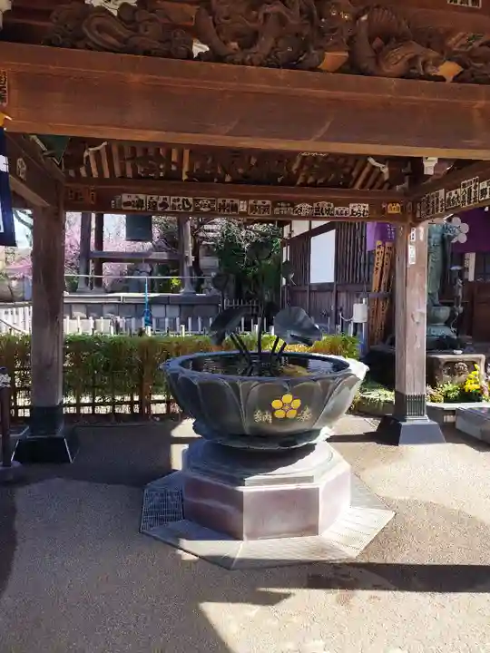 新井薬師(梅照院)(東京都)