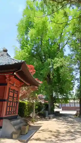 如意輪寺(市原観音)(茨城県)
